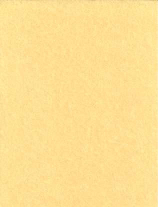 (image for) 500pk 24# 8 1/2"x11" parchment