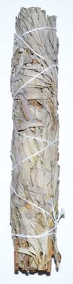 (image for) 9" White Sage smudge stick