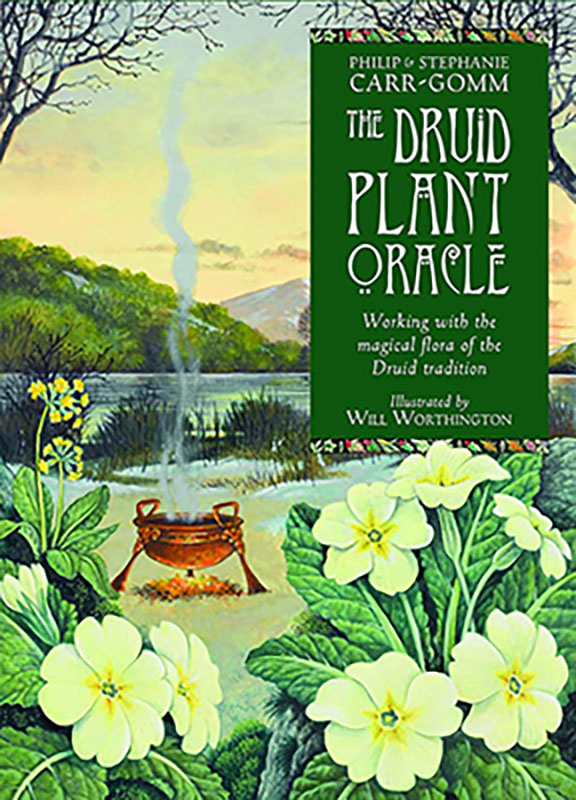 (image for) Druid Plant orale by Carr-Gomm & Carr-Gomm